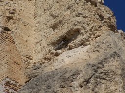 Castillo de Mula 2010